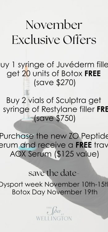 Wellington November 2025 Specials